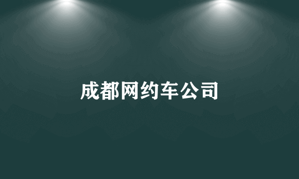 成都网约车公司