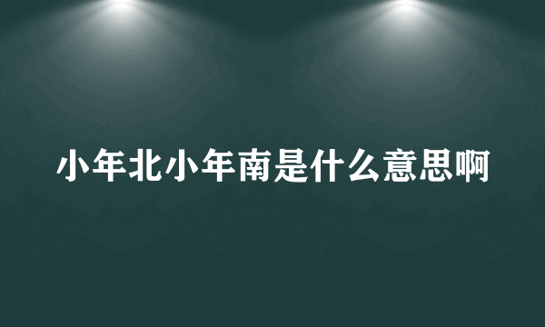 小年北小年南是什么意思啊