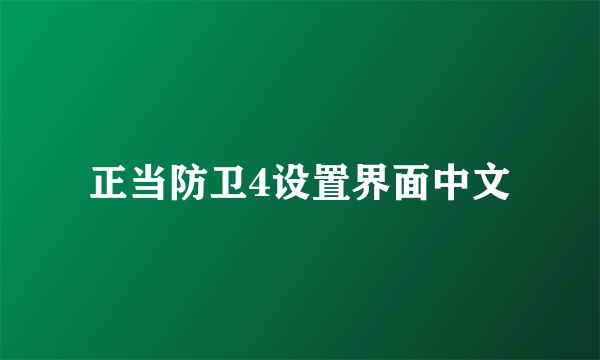 正当防卫4设置界面中文