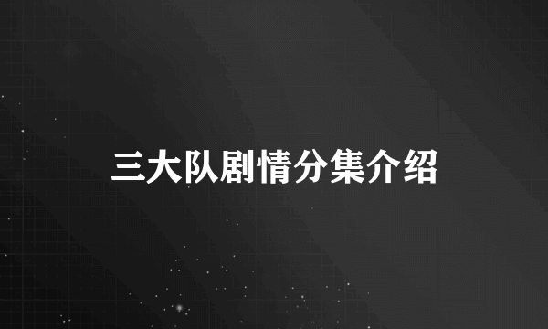 三大队剧情分集介绍