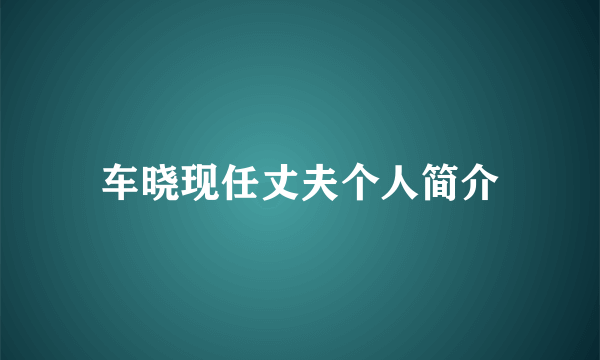 车晓现任丈夫个人简介