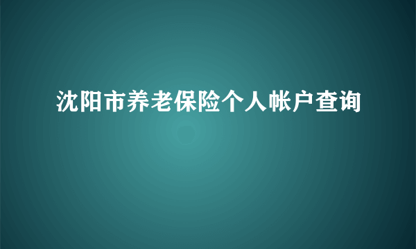 沈阳市养老保险个人帐户查询