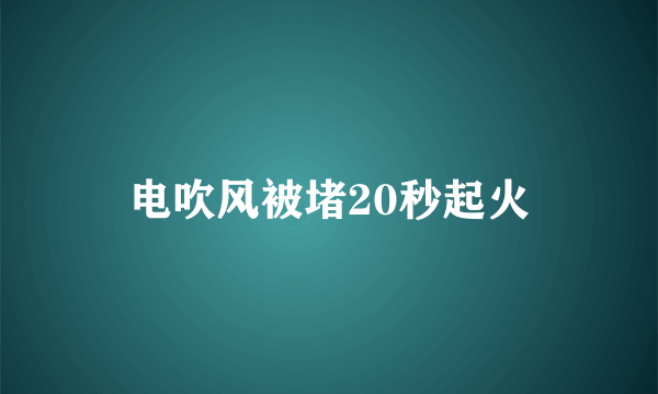 电吹风被堵20秒起火