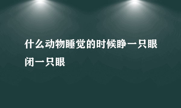 什么动物睡觉的时候睁一只眼闭一只眼