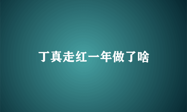 丁真走红一年做了啥