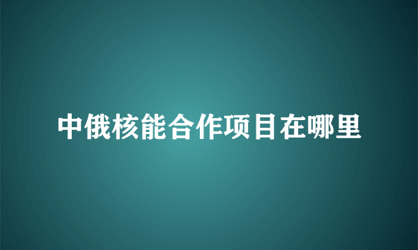 中俄核能合作项目在哪里