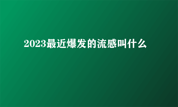 2023最近爆发的流感叫什么