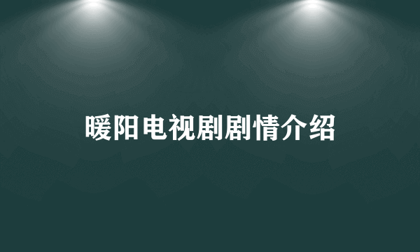 暖阳电视剧剧情介绍