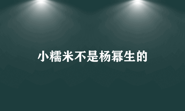 小糯米不是杨幂生的