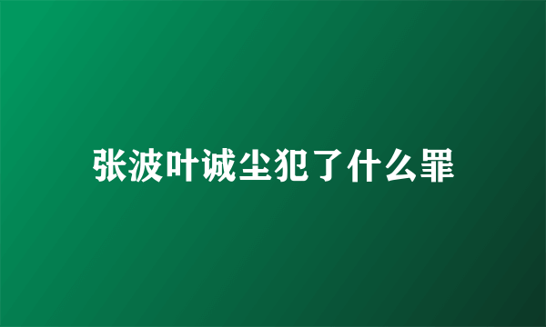 张波叶诚尘犯了什么罪