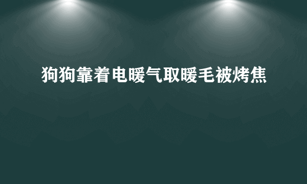 狗狗靠着电暖气取暖毛被烤焦