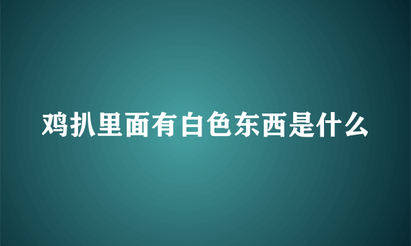 鸡扒里面有白色东西是什么