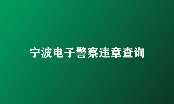 宁波电子警察违章查询