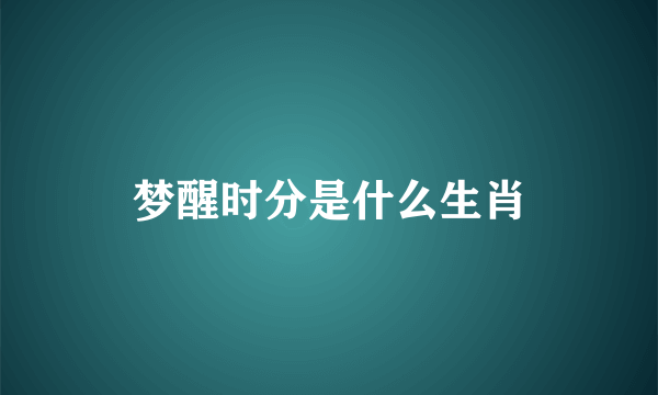 梦醒时分是什么生肖