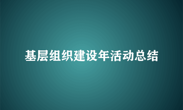 基层组织建设年活动总结