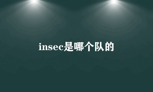 insec是哪个队的