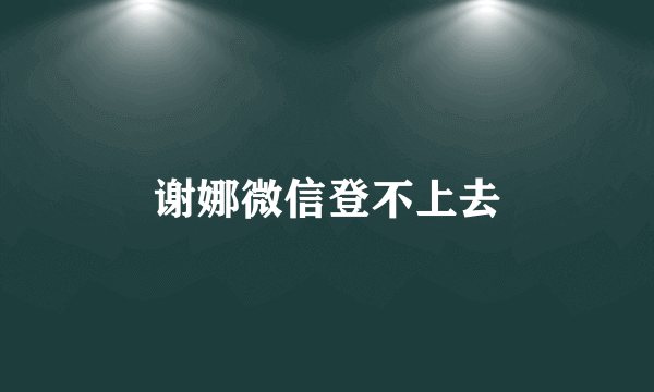 谢娜微信登不上去