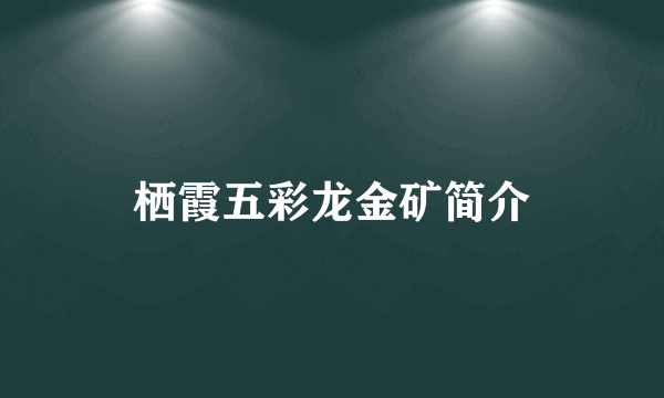 栖霞五彩龙金矿简介