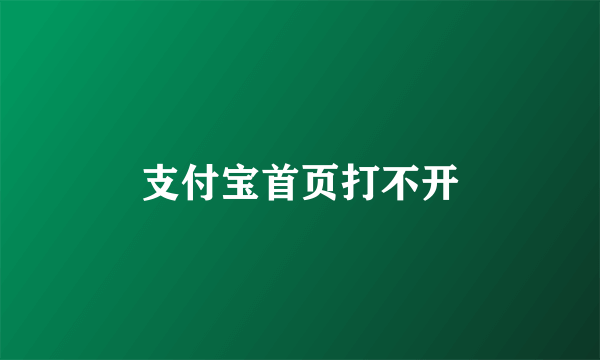 支付宝首页打不开