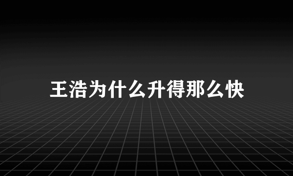 王浩为什么升得那么快