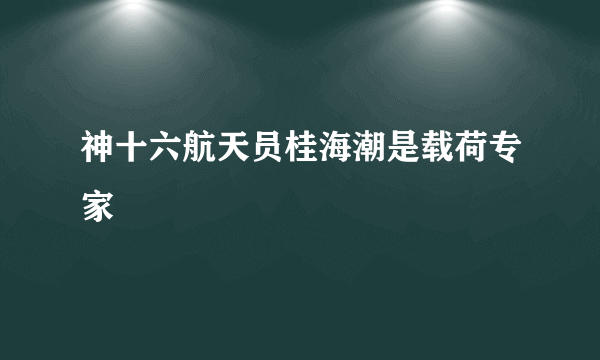 神十六航天员桂海潮是载荷专家