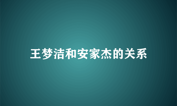 王梦洁和安家杰的关系