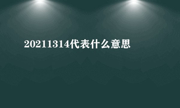 20211314代表什么意思