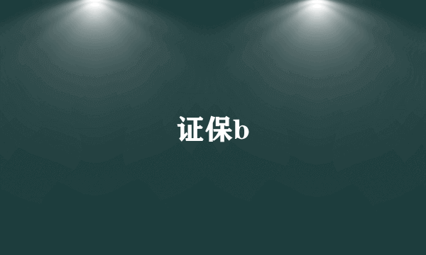 证保b