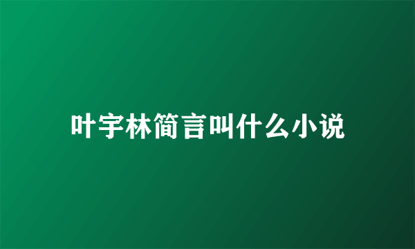 叶宇林简言叫什么小说