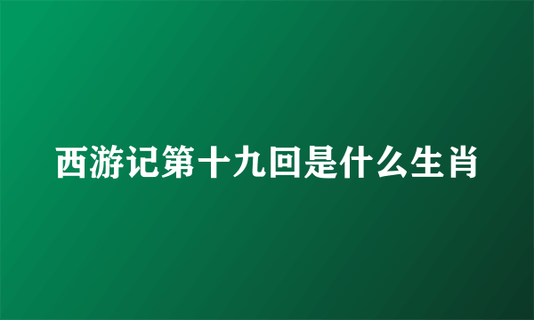 西游记第十九回是什么生肖