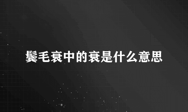 鬓毛衰中的衰是什么意思