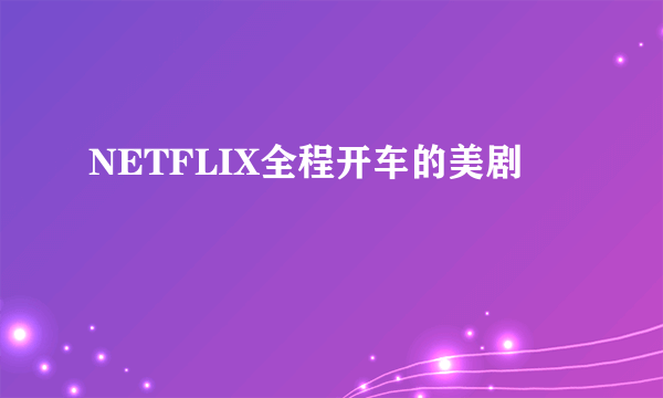 NETFLIX全程开车的美剧