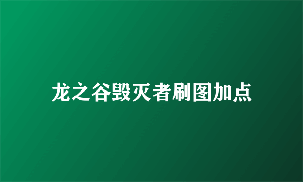 龙之谷毁灭者刷图加点