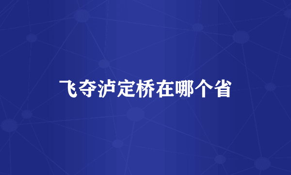 飞夺泸定桥在哪个省