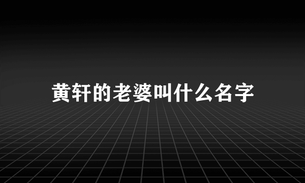 黄轩的老婆叫什么名字