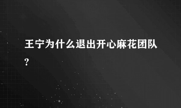 王宁为什么退出开心麻花团队?