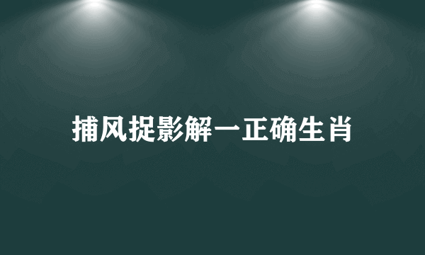 捕风捉影解一正确生肖