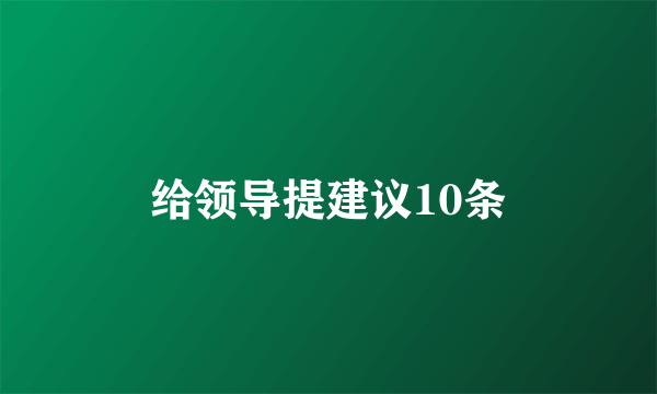 给领导提建议10条