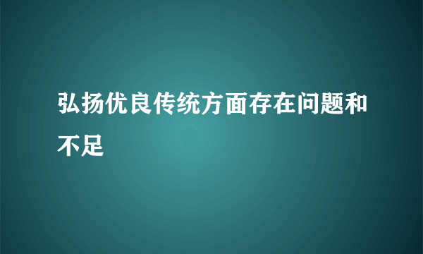 弘扬优良传统方面存在问题和不足