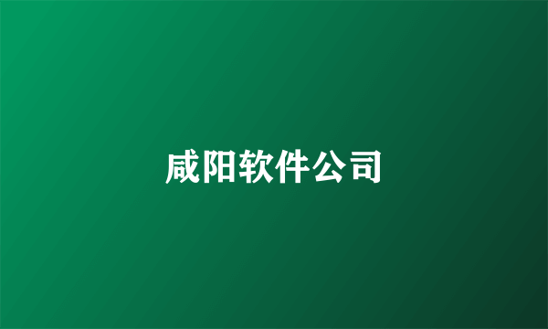 咸阳软件公司