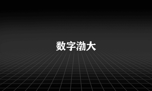 数字渤大