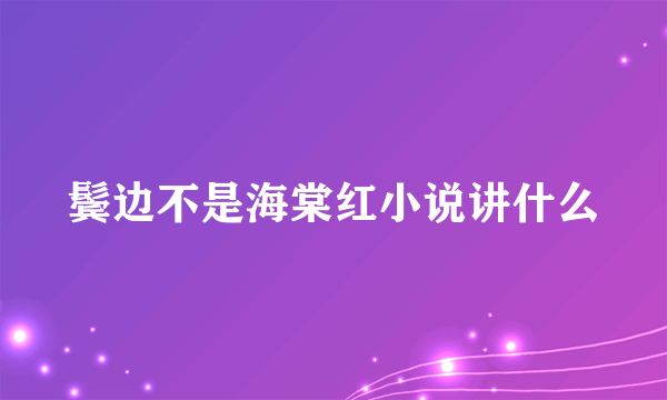 鬓边不是海棠红小说讲什么