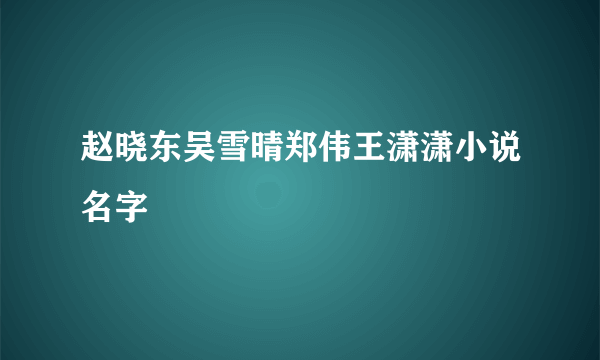 赵晓东吴雪晴郑伟王潇潇小说名字