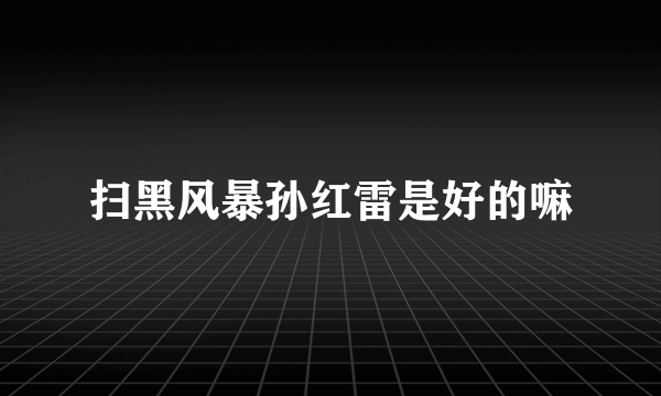 扫黑风暴孙红雷是好的嘛