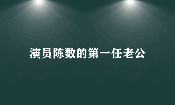 演员陈数的第一任老公