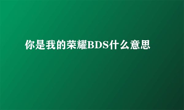 你是我的荣耀BDS什么意思