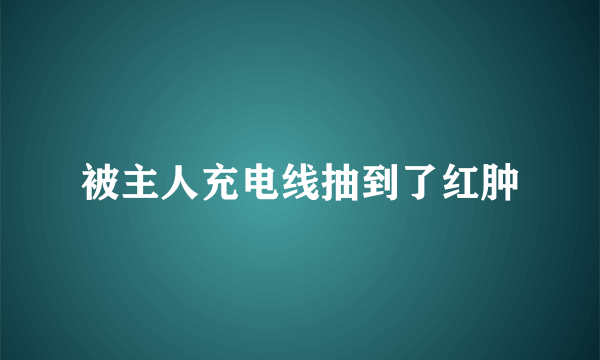 被主人充电线抽到了红肿