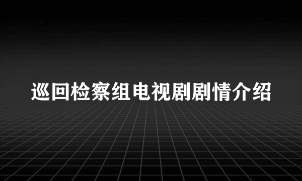 巡回检察组电视剧剧情介绍