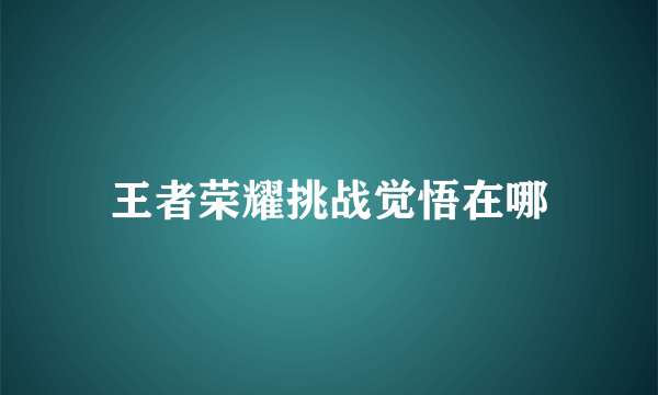 王者荣耀挑战觉悟在哪