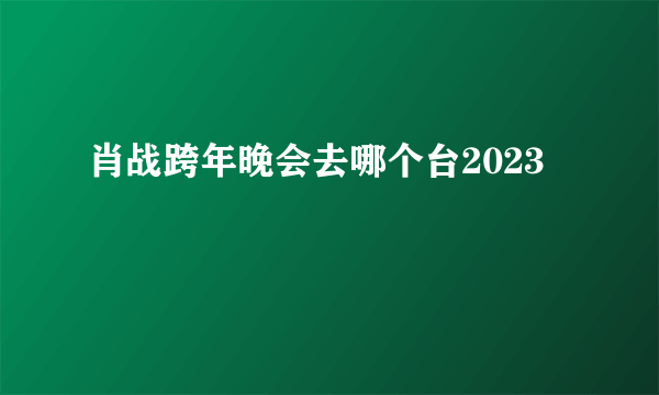 肖战跨年晚会去哪个台2023